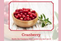 cranberry scent