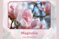 magnolia scent