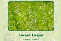 sweet grass